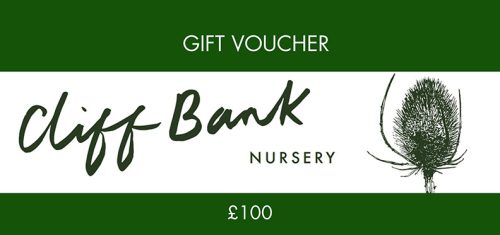 Cliff Bank Nursery Voucher - £100