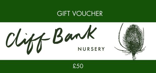 Cliff Bank Nursery Voucher - £50