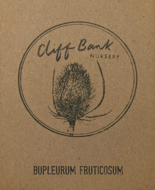 Bupleurum fruticosum