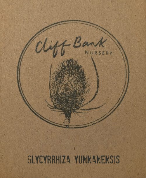 Glycyrrhiza yunnanensis