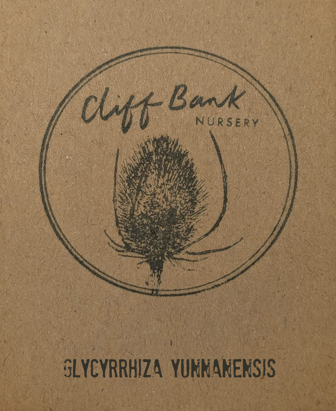 Glycyrrhiza yunnanensis