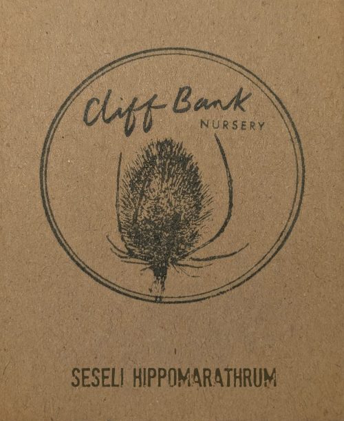 Seseli hippomarathrum