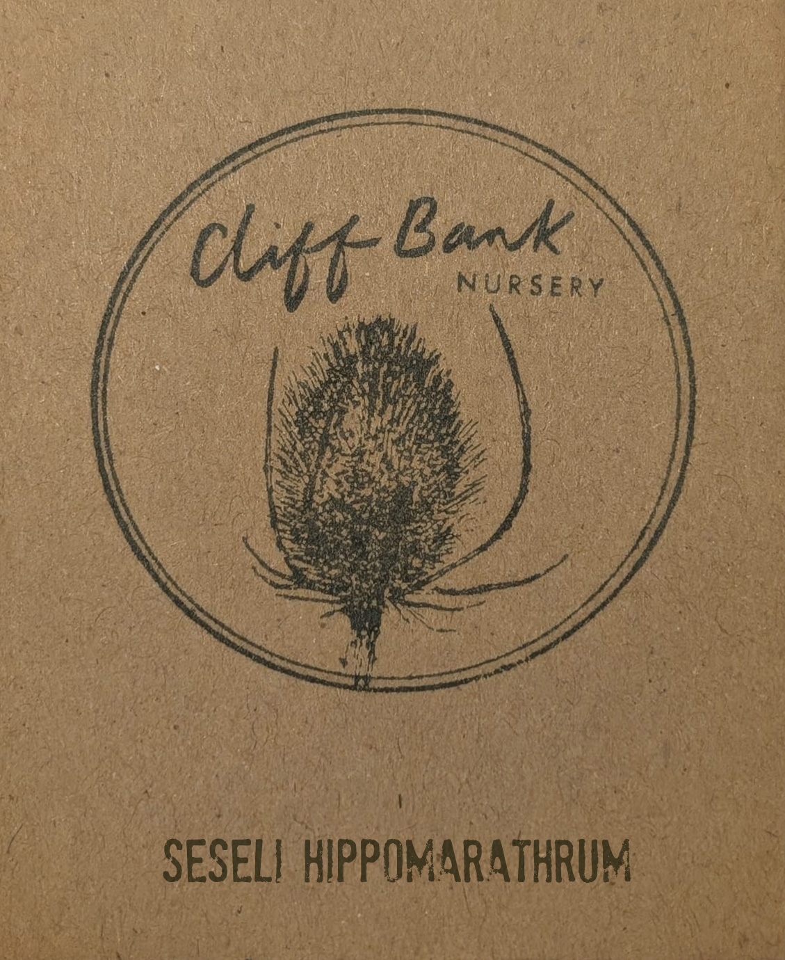 Seseli hippomarathrum