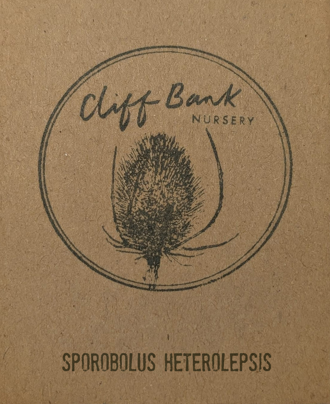 Sporobolus heterolepsis